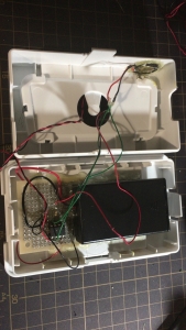 Internal wiring