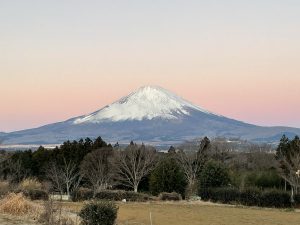 fuji