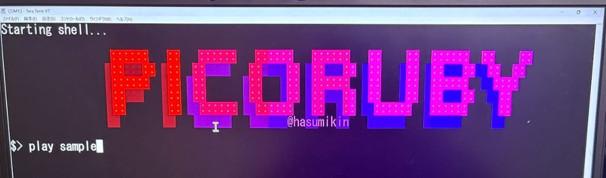 PicoRubyとMicroRubyの歩き方